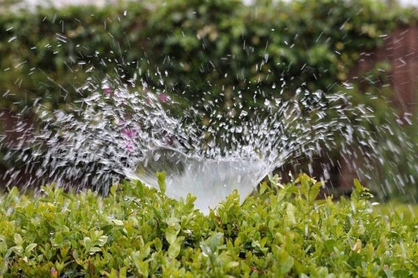 Récupérateur eau de pluie : 3 Conseils pour l'Arrosage de Jardin